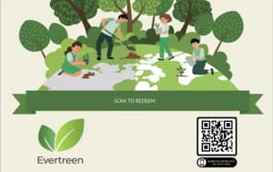 evertreen